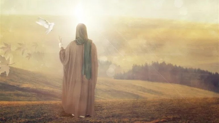 الادعاءات حول ولادة المهدي في كتب المؤرخين